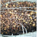 Suministro de granos de café con cáscara natural